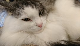 空。★ちゃんの2017/4/26 (水) 19:07のブログ