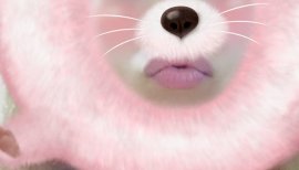 ややんちゃんの2017/6/22 (木) 04:50のブログ