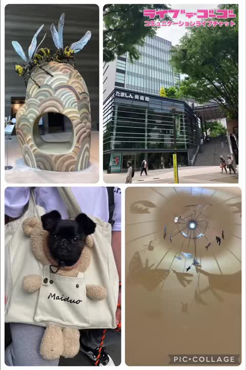 たましん美術館