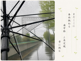 雨