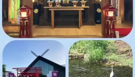 古いお姉さんちゃんの5/27 (火) 09:47のブログ