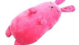 抱き枕が欲しいです〜
