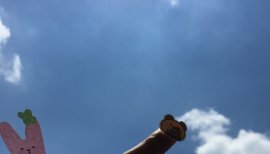 快晴ですね(/・ω・)/