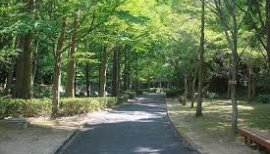 今日は、遅い目覚めなの
