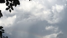 おはようございます。(/・ω・)/