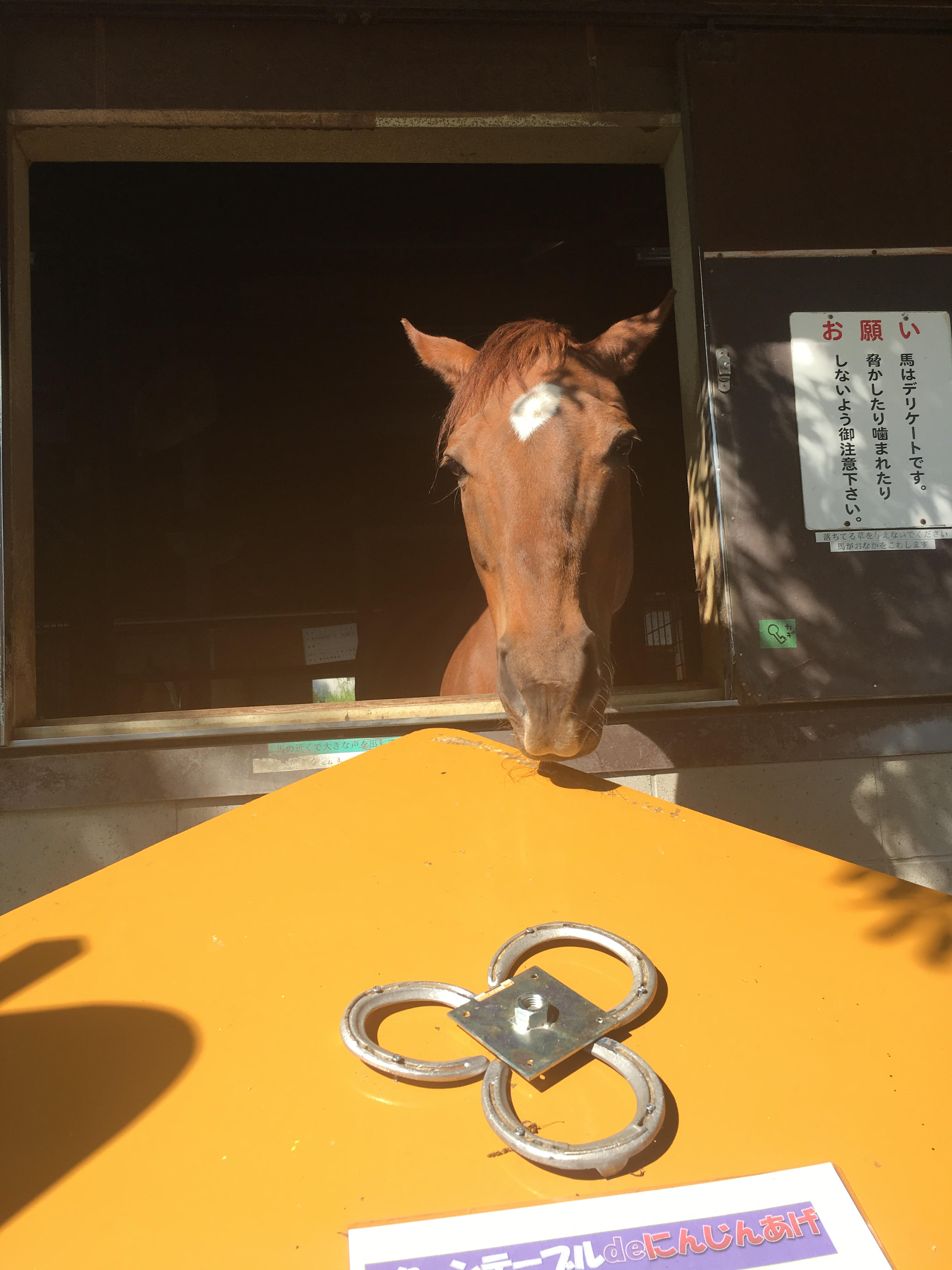 えり*＾uちゃんの2019/5/4 (土) 21:17のブログ