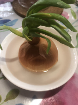 温野菜を食べようと・・