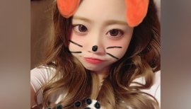 みーこさんちゃんの2017/8/10 (木) 01:50のブログ