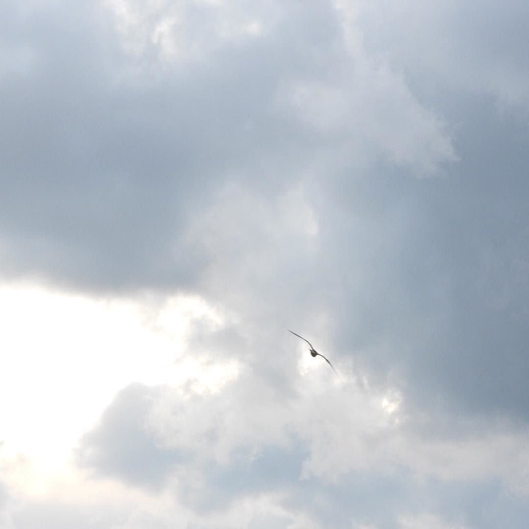 曇り続きですねー！