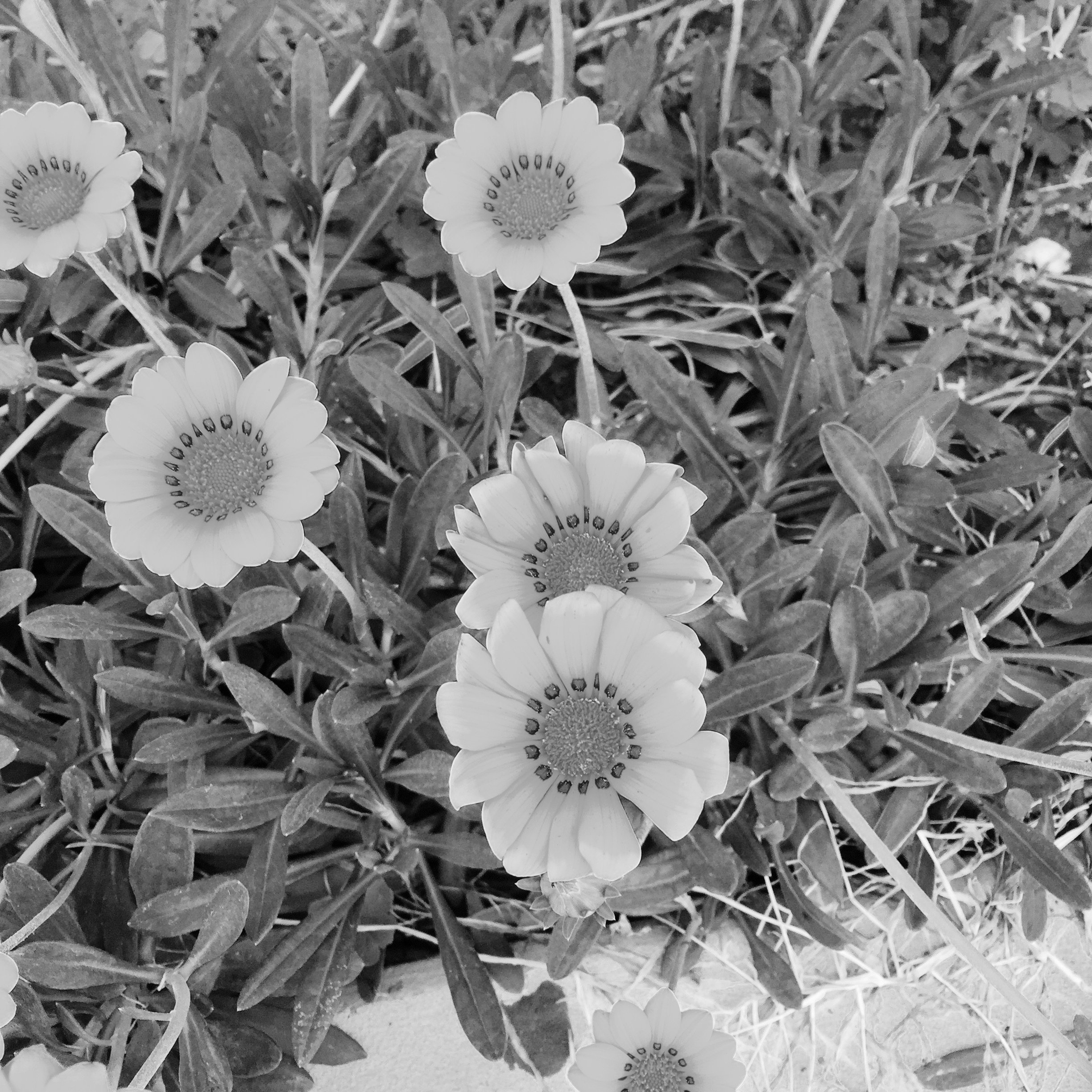 ブログ一度消してしまったので・・・