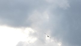 ★このめ★ちゃんの2017/8/16 (水) 20:25のブログ