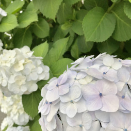 ★このめ★ちゃんの2018/6/29 (金) 01:07のブログ