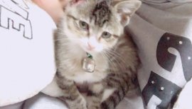 ライブゴーゴー始めました(● ˃̶͈̀ロ˂̶͈́）