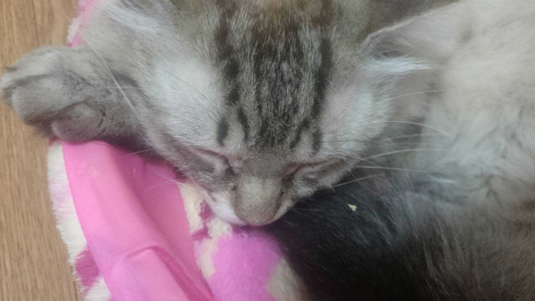 ずずずずーーーーう！