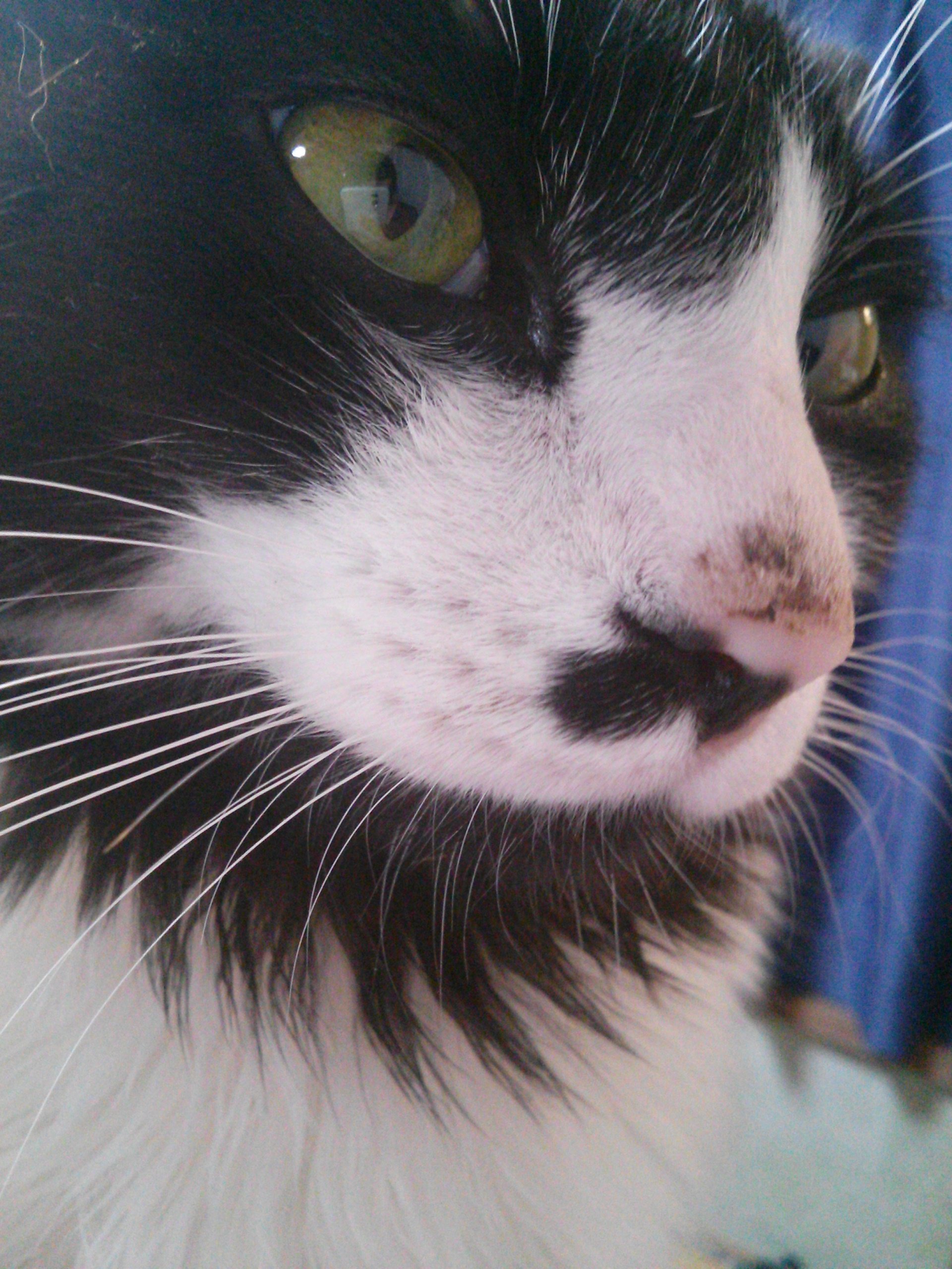 りお。ちゃんの2014/8/21 (木) 00:36のブログ