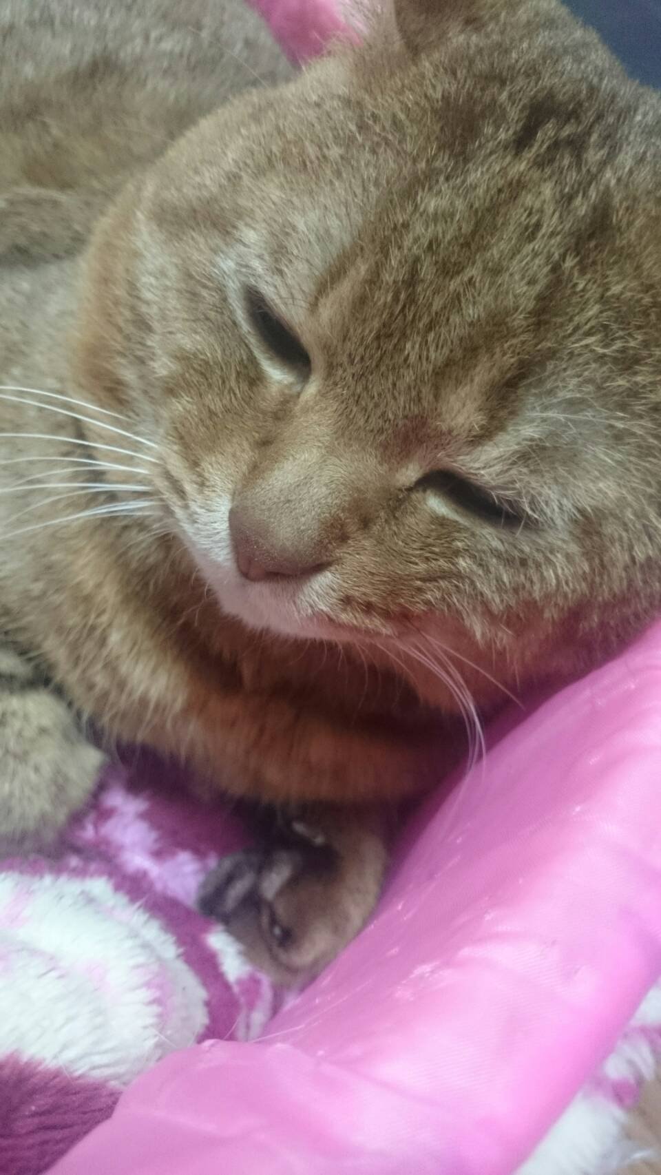 お！！おきてる！！