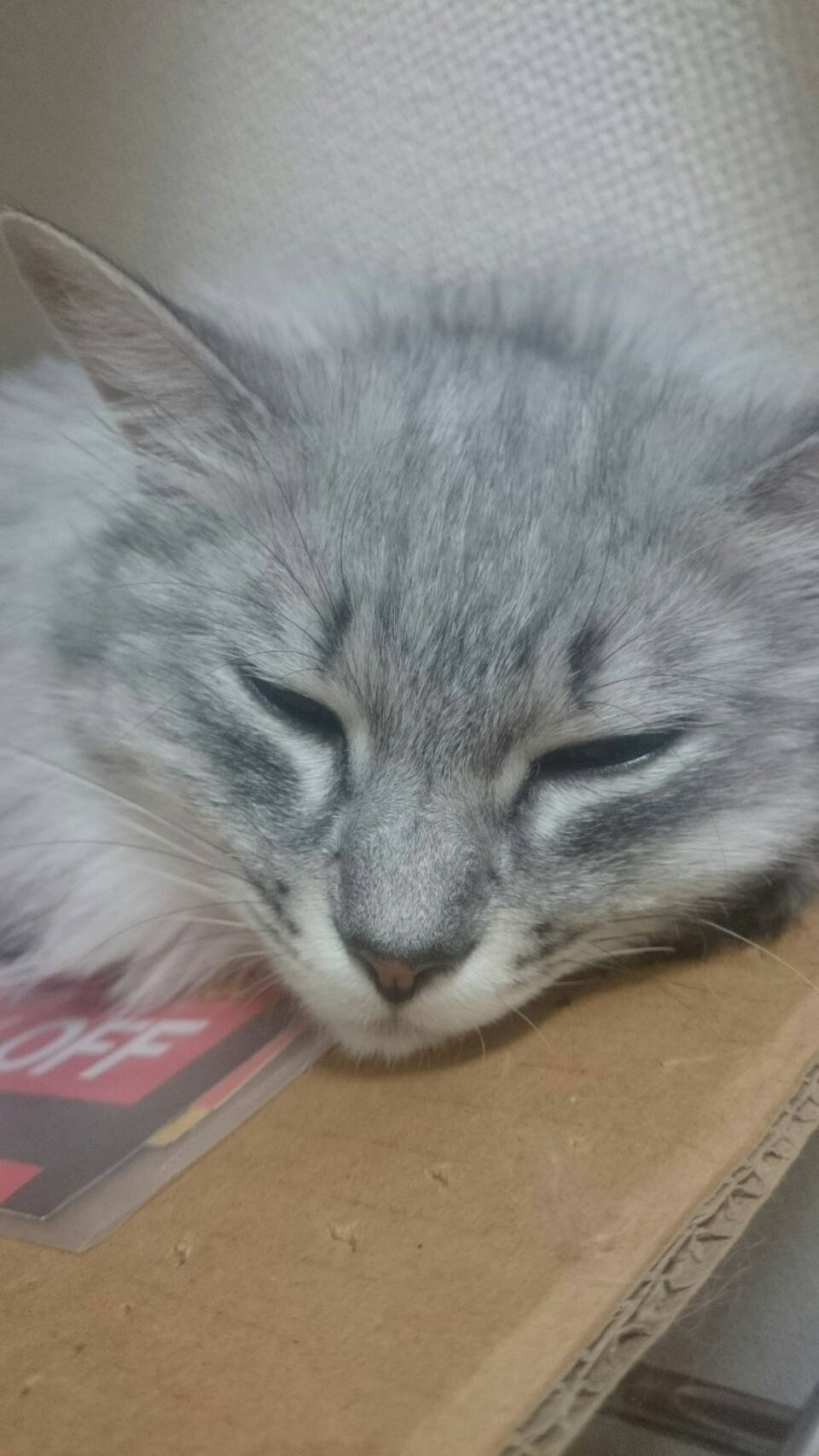 ずずずずずーーー