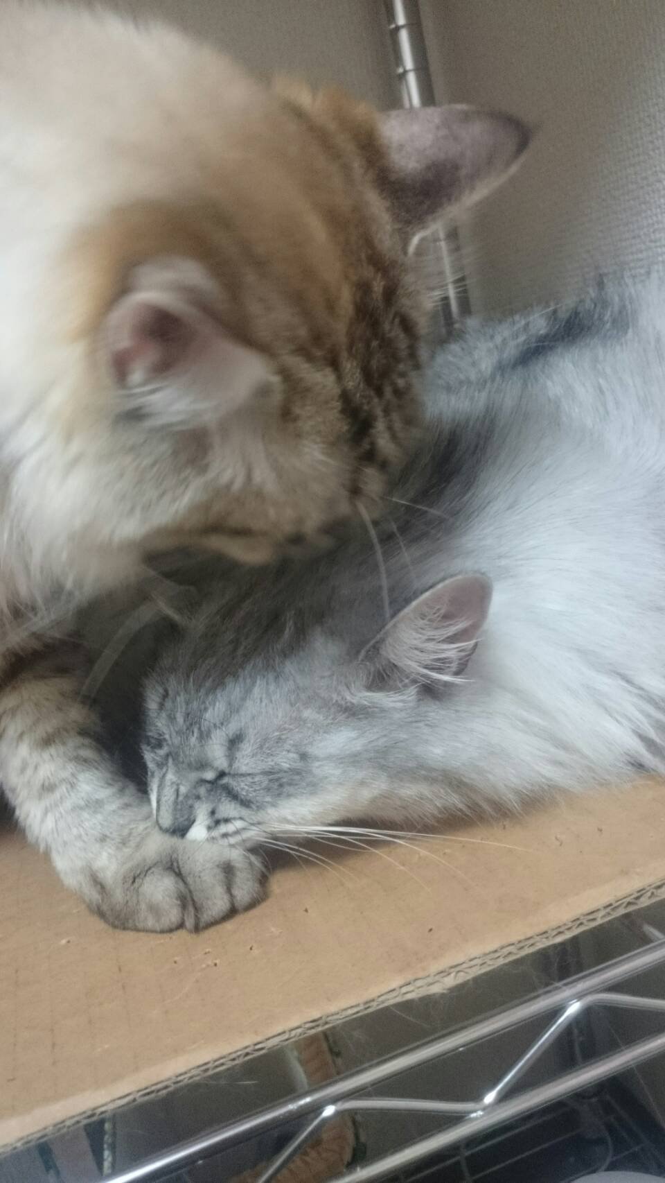 なかよしーー！