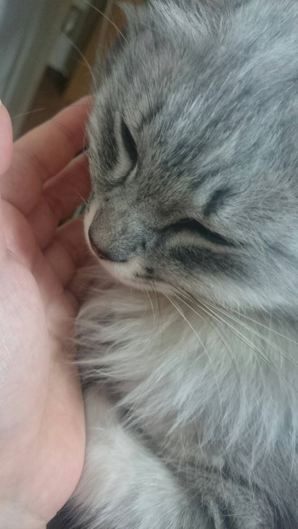 パソコンのところにーー！！