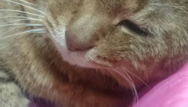 りお。ちゃんの2017/7/5 (水) 22:06のブログ