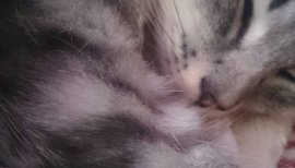 りお。ちゃんの2016/12/5 (月) 20:07のブログ