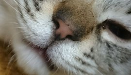 りお。ちゃんの2016/12/18 (日) 00:58のブログ