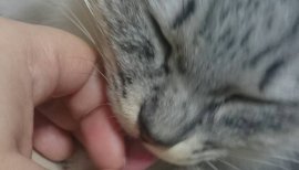 りお。ちゃんの2016/11/20 (日) 00:39のブログ