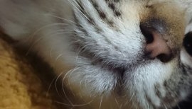 りお。ちゃんの2016/12/18 (日) 22:39のブログ