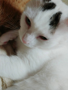 りお。ちゃんの2020/7/17 (金) 00:55のブログ