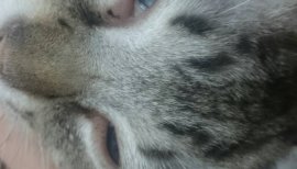 りお。ちゃんの2017/7/2 (日) 15:11のブログ