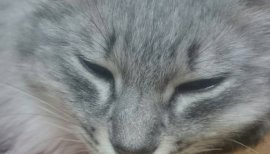 りお。ちゃんの2017/7/4 (火) 05:38のブログ