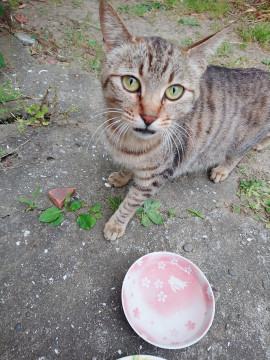 りお。ちゃんの2020/6/14 (日) 05:16のブログ