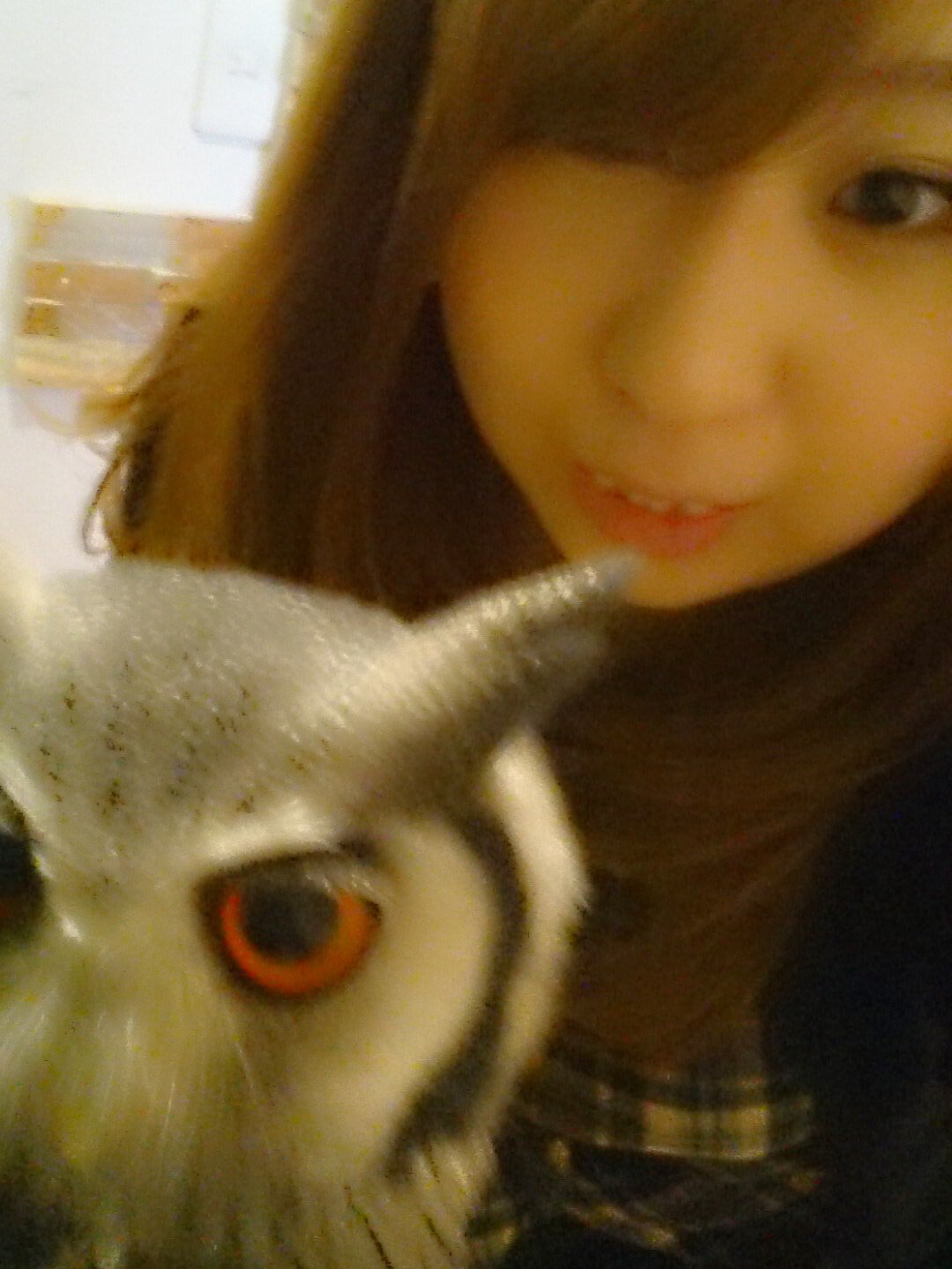 *momoca*ちゃんの2014/12/20 (土) 19:02のブログ