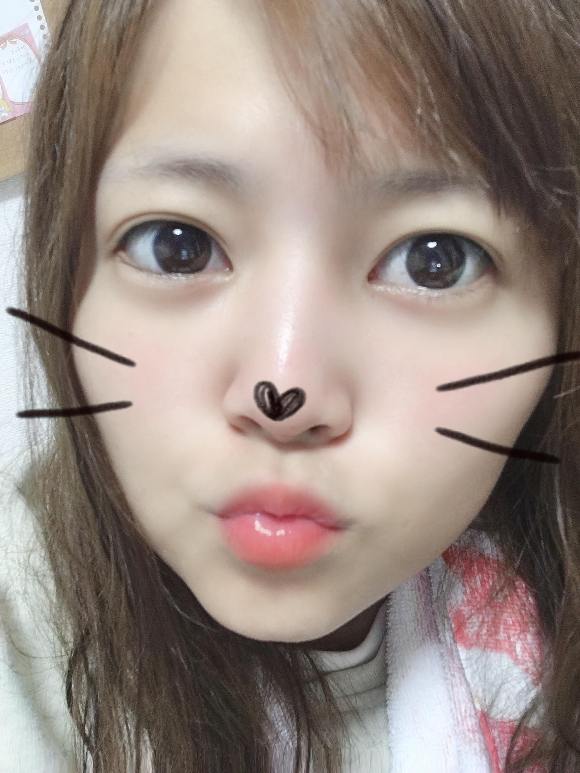 お久しぶりです?