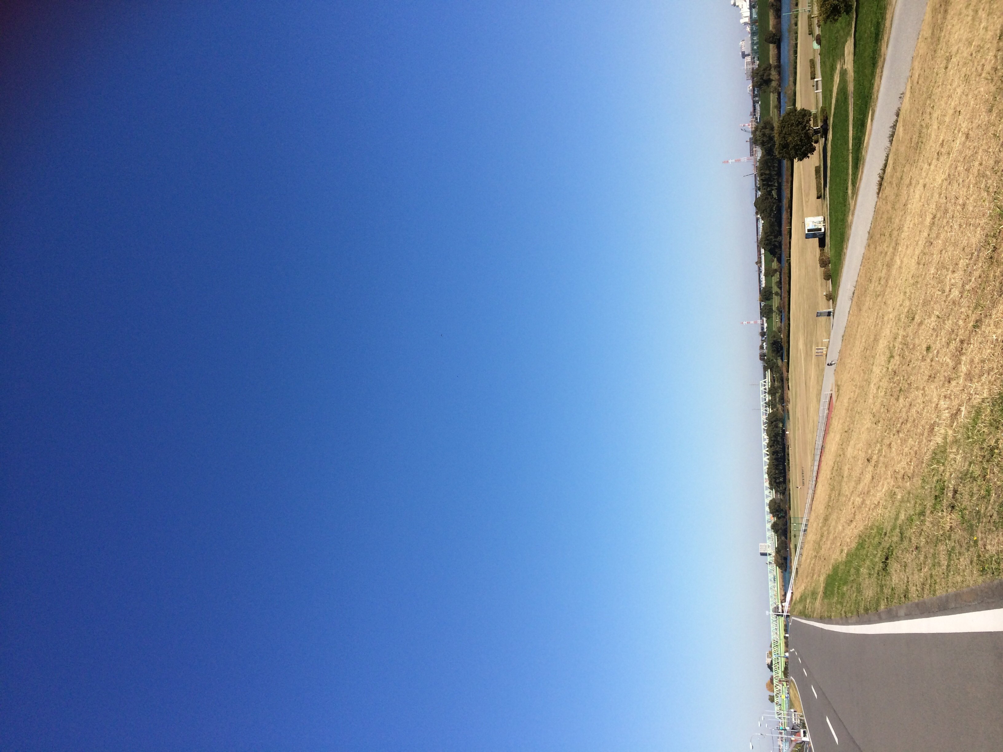 にゃん♪ちゃんの2014/11/20 (木) 00:06のブログ