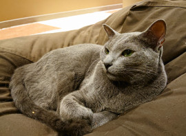 にゃちゃん。ちゃんの2019/10/2 (水) 05:53のブログ