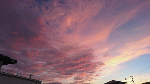 連勤終ったぁぁあ｡ﾟヽ(ﾟ´Д｀)ﾉﾟ｡