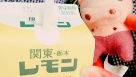 やみ&nbsp;しずくちゃんの2017/9/7 (木) 12:43のブログ