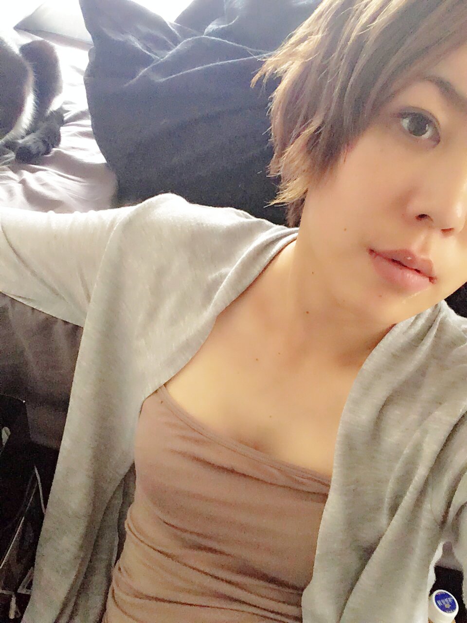 おはようございます(*^ω^*)