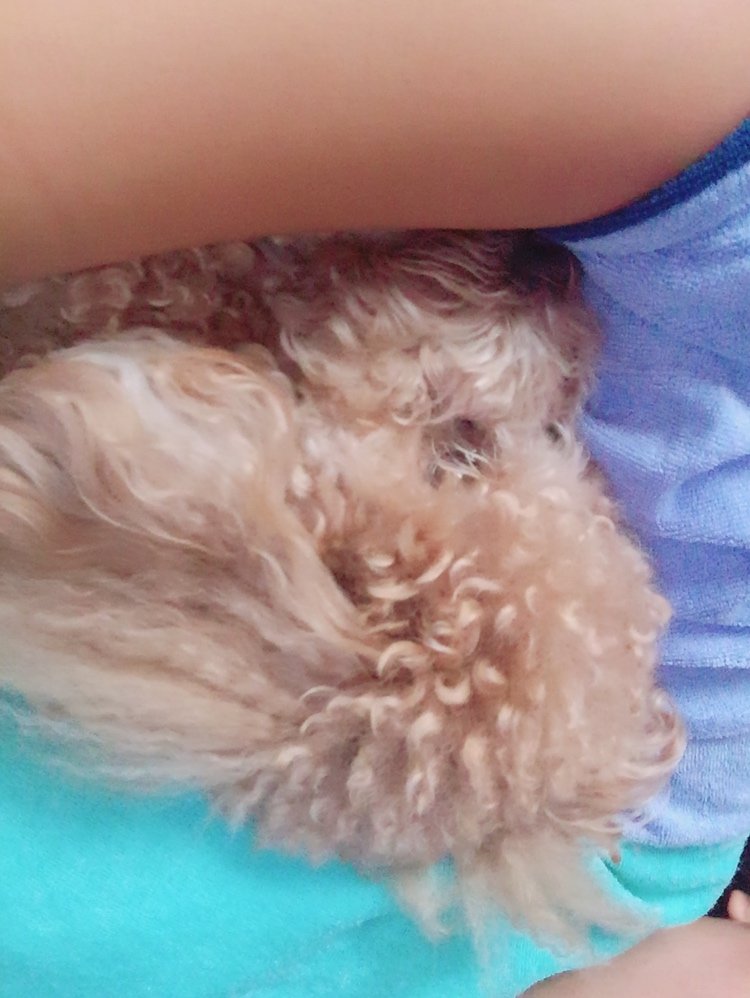 水着フェス?参加します☺