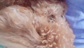 水着フェス?参加します☺