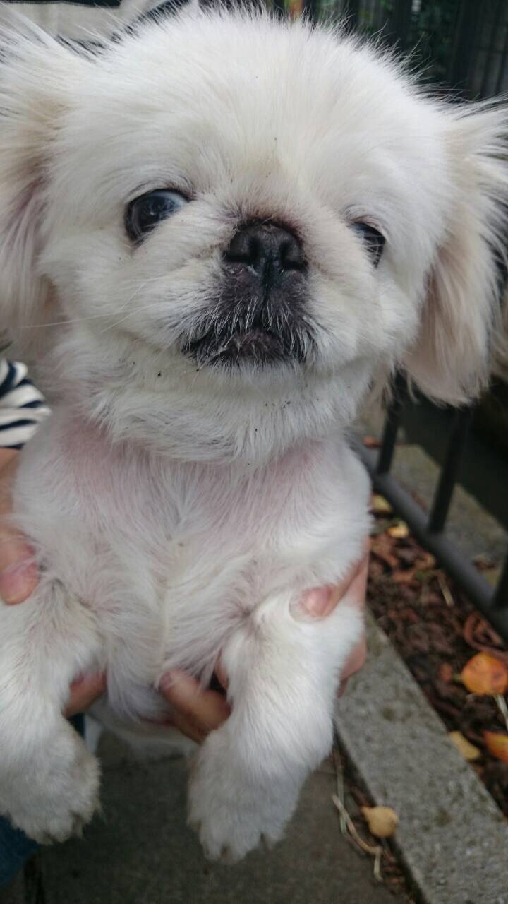 ☆★こころ★☆ちゃんの2015/2/7 (土) 20:40のブログ