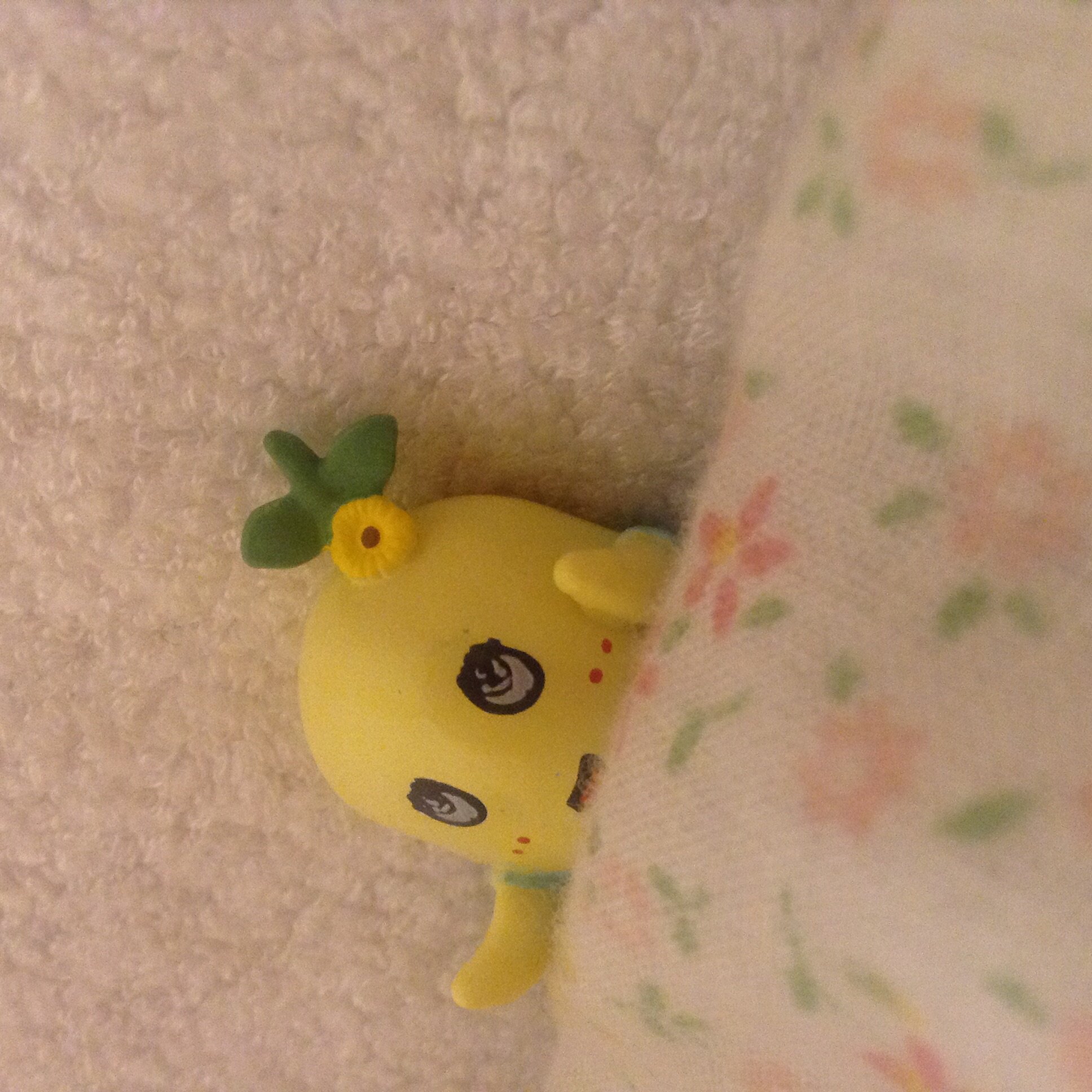 ほぇ〜( ；´Д｀)