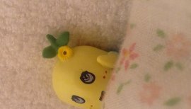 ☆★こころ★☆ちゃんの2015/3/21 (土) 02:44のブログ