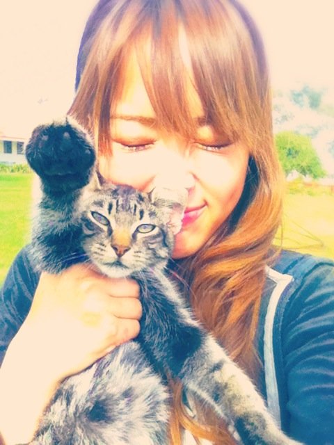 犬派？猫派？