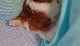 eiko。ちゃんの2016/2/28 (日) 00:28のブログ
