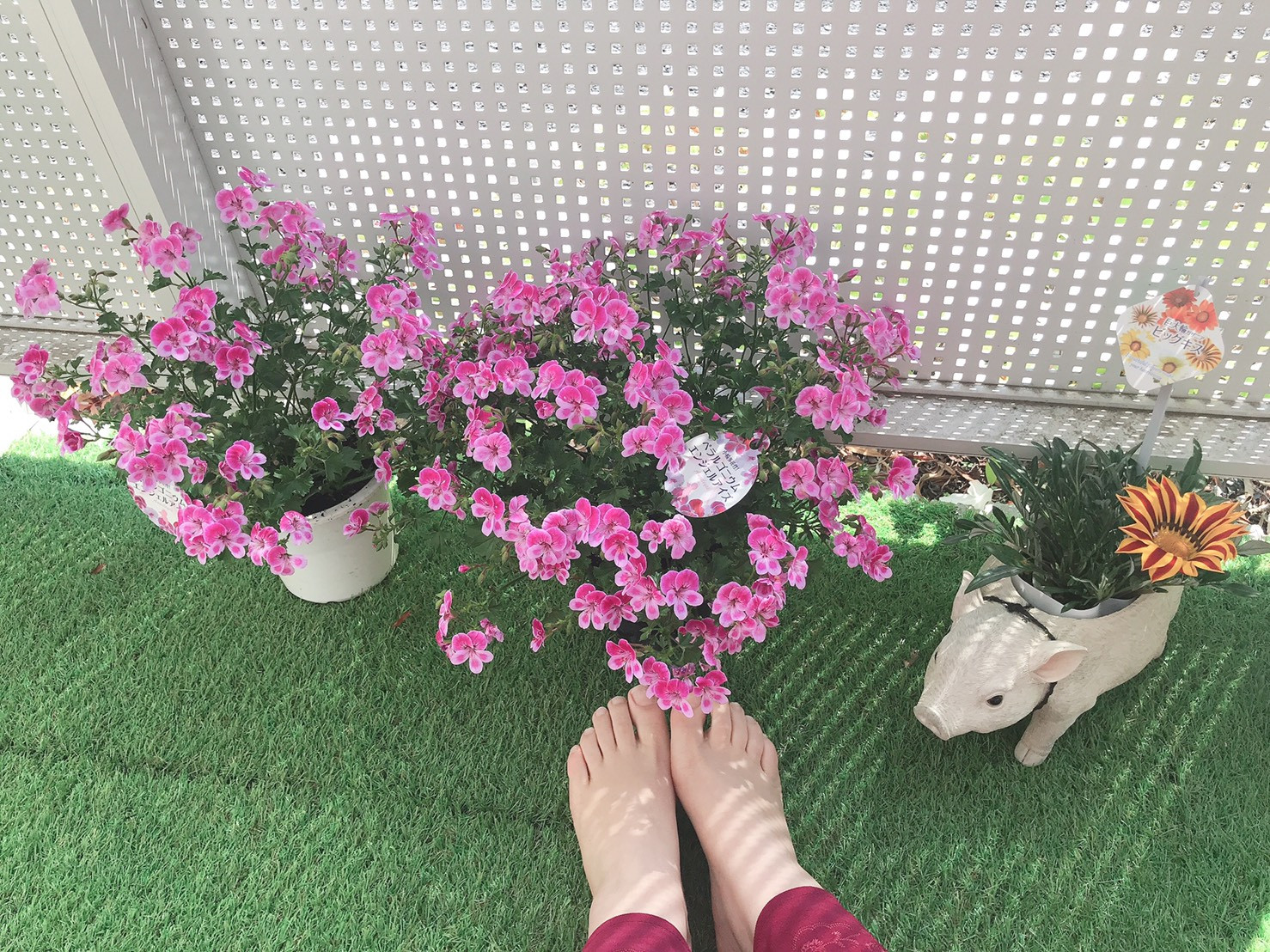 おまけのぺラルゴ二ウム