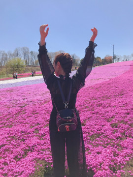 芝桜