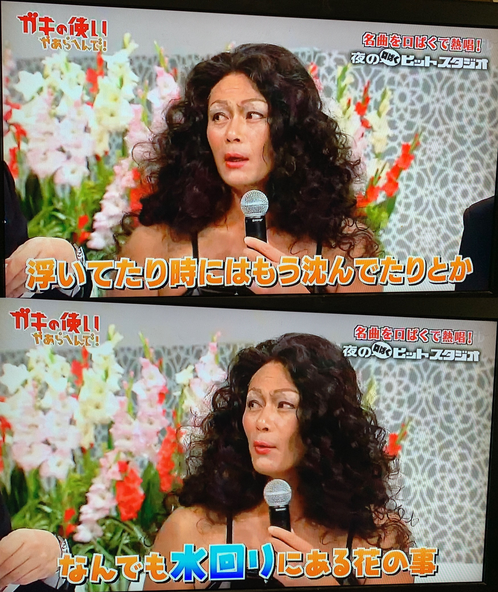 ココリコ遠藤章造による水中花解説