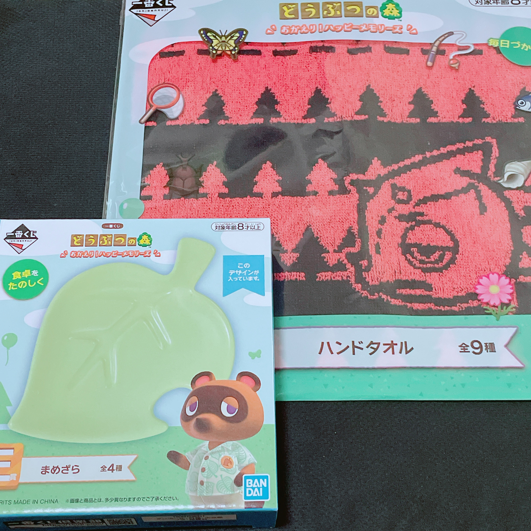 葉っぱのお皿と赤ドカゲ